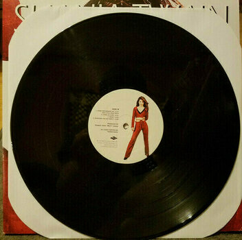 Vinyl Record Shania Twain - Come On Over (2 LP) - 5