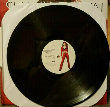 Vinylplade Shania Twain - Come On Over (2 LP) - 7