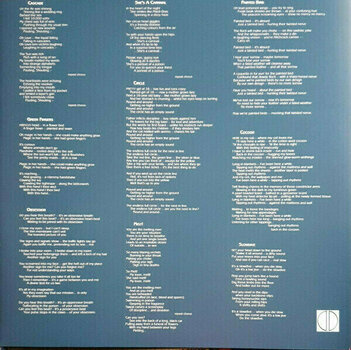 Грамофонна плоча Siouxsie & The Banshees - A Kiss In The Dreamhouse (LP) - 4
