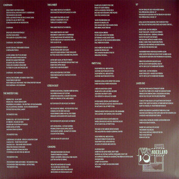 LP deska Siouxsie & The Banshees - Tinderbox (Remastered) (LP) - 4