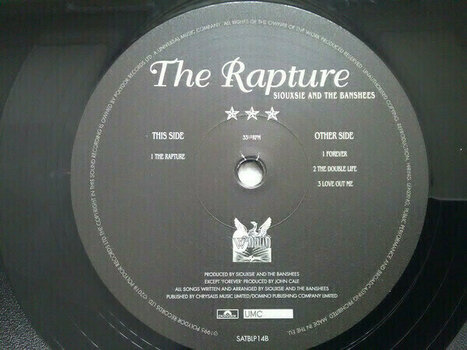 Disco in vinile Siouxsie & The Banshees - The Rapture (Remastered) (2 LP) - 9