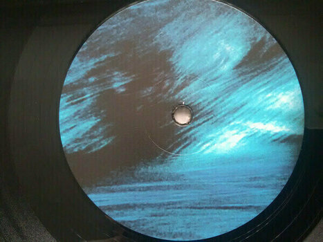 Vinylplade Siouxsie & The Banshees - The Rapture (Remastered) (2 LP) - 10