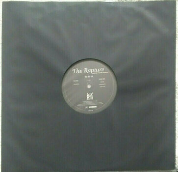 Vinyl Record Siouxsie & The Banshees - The Rapture (Remastered) (2 LP) - 11