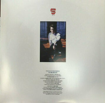 LP Steve Winwood - Roll With It (LP) - 5