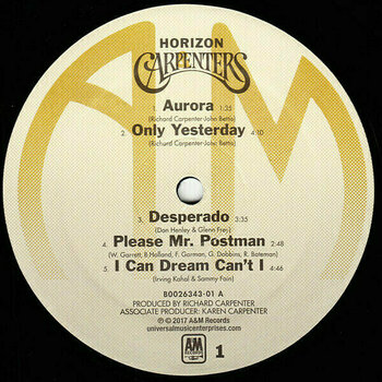 LP ploča Carpenters - Carpenters - The Vinyl Collection (Limited Edition) (Remastered) (12 LP) - 29