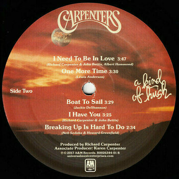 LP ploča Carpenters - Carpenters - The Vinyl Collection (Limited Edition) (Remastered) (12 LP) - 34