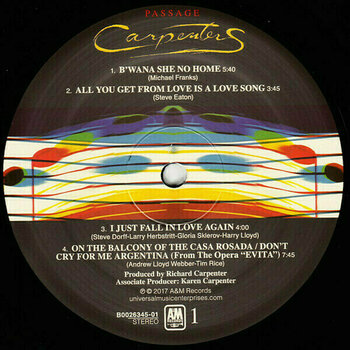 LP ploča Carpenters - Carpenters - The Vinyl Collection (Limited Edition) (Remastered) (12 LP) - 37