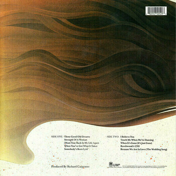 LP ploča Carpenters - Carpenters - The Vinyl Collection (Limited Edition) (Remastered) (12 LP) - 40