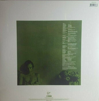 Vinyl Record Brian Eno - Another Green World (LP) - 5