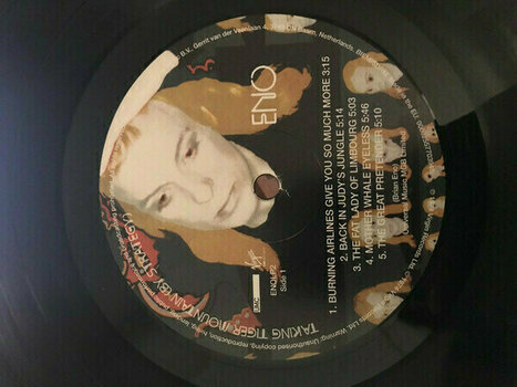 Disque vinyle Brian Eno - Taking Tiger Mountain (LP) - 3