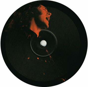 Vinyylilevy Rory Gallagher - Photo Finish (Remastered) (LP) - 3