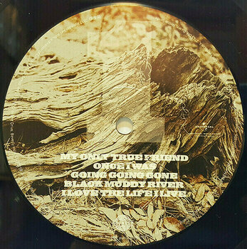 Vinyl Record Gregg Allman - Southern Blood (LP) - 8