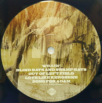 Vinyl Record Gregg Allman - Southern Blood (LP) - 9
