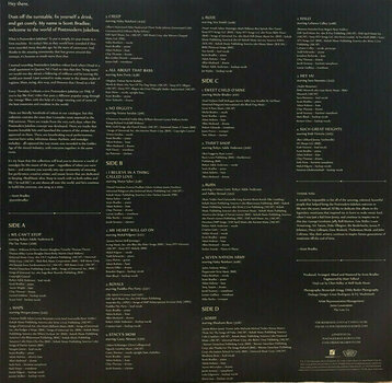 Disque vinyle Scott Bradlee's Postmodern - The Essentials (2 LP) - 8