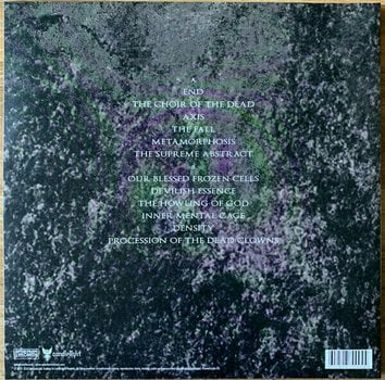 Vinyylilevy Blut Aus Nord - The Work Which Transforms God (Reissue) (LP) - 6
