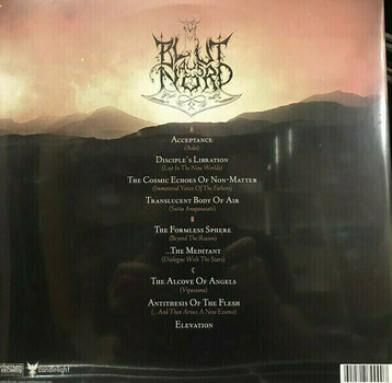 Disc de vinil Blut Aus Nord - Memoria Vetusta II – Dialogue With The Stars (Reissue) (2 LP) - 2