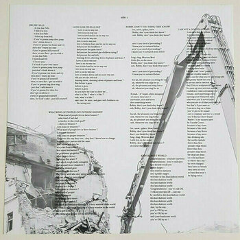 Disc de vinil Morrissey - I Am Not A Dog On A Chain (Indies) (LP) - 7