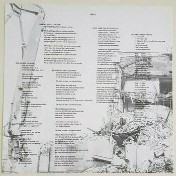 Disco de vinilo Morrissey - I Am Not A Dog On A Chain (Indies) (LP) - 8