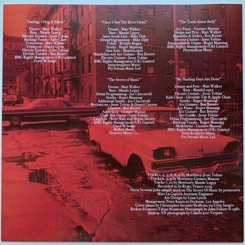 Vinylplade Morrissey - I Am Not A Dog On A Chain (Indies) (LP) - 10