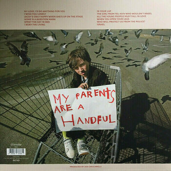 Vinylplade Morrissey - Low In High School (LP) - 2