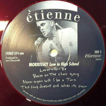 LP ploča Morrissey - Low In High School (Deluxe Edition) (2 LP) - 10