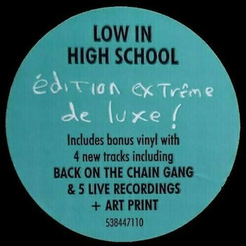 LP ploča Morrissey - Low In High School (Deluxe Edition) (2 LP) - 13