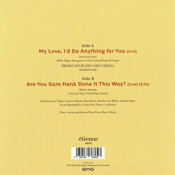 Δίσκος LP Morrissey - My Love, I'd Do Anything For You/Are You Sure Hank Done It This Way? (7" Vinyl) - 2