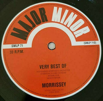 Disque vinyle Morrissey - The Very Best Of (Limited Edition) (2 LP) - 14