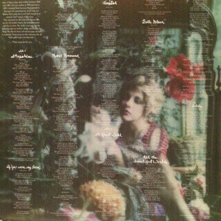 Грамофонна плоча Stevie Nicks - 24 Karat Gold - Songs From The Vault (LP) - 9