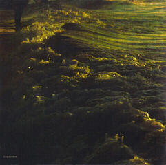 Musik-CD Foals - Holy Fire (CD) - 2