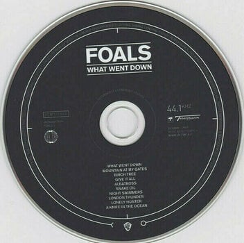 Music CD Foals - What Went Down (CD) - 2