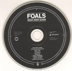Musik-CD Foals - What Went Down (CD + DVD) - 1