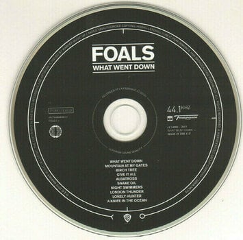 Music CD Foals - What Went Down (CD + DVD) - 2