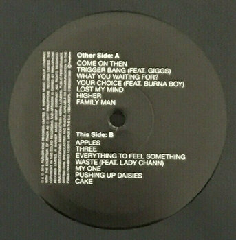 LP Lily Allen - No Shame (LP) - 6