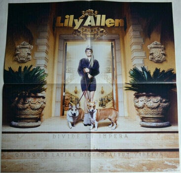 Płyta winylowa Lily Allen - Sheezus (LP + CD) - 10