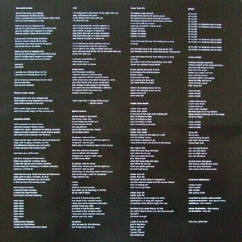 LP plošča American Nightmare - American Nightmare (LP) - 6