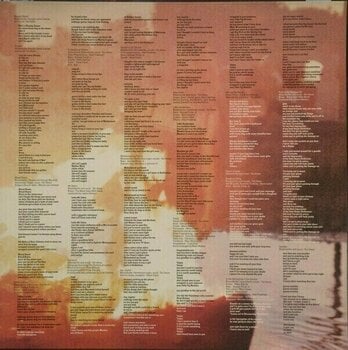 Vinyl Record Tori Amos - Boys For Pele (2 LP) - 8