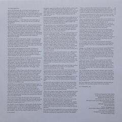 Vinylskiva Tori Amos - Little Earthquakes (LP) - 5