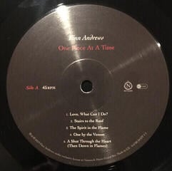 LP plošča Finn Andrews - One Piece At a Time (180 g) (LP) - 3