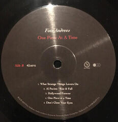 LP plošča Finn Andrews - One Piece At a Time (180 g) (LP) - 4