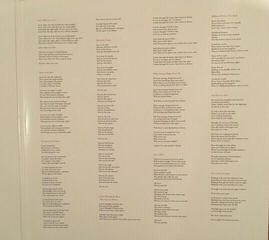 LP plošča Finn Andrews - One Piece At a Time (180 g) (LP) - 6