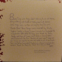 Δίσκος LP Animal Collective - Sung Tongs (2 LP) - 6