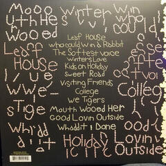 Δίσκος LP Animal Collective - Sung Tongs (2 LP) - 7