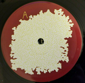 Disco de vinilo Animal Collective - Sung Tongs (2 LP) Disco de vinilo - 2
