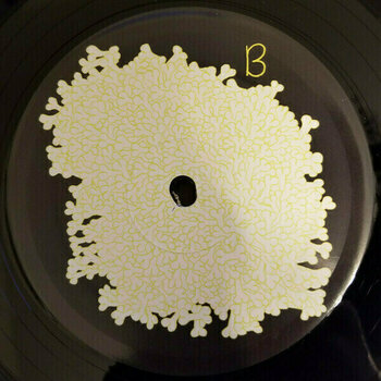 Disque vinyle Animal Collective - Sung Tongs (2 LP) - 3
