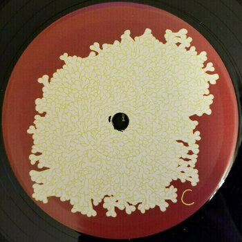 Vinylplade Animal Collective - Sung Tongs (2 LP) - 4