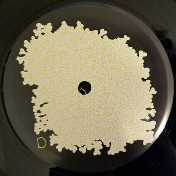 Disque vinyle Animal Collective - Sung Tongs (2 LP) - 5