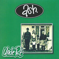 LP platňa Ash - 94 - '04 - The 7" Singles Box Set (10 x 7" Vinyl) - 3
