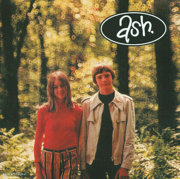 Vinyl Record Ash - '94 - '04 - The 7'' Singles Box Set (10 x 7'' Vinyl) - 9