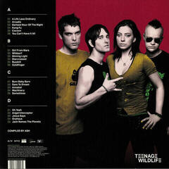 LP platňa Ash - Teenage Wildlife - 25 Years Of Ash (2 LP) - 2